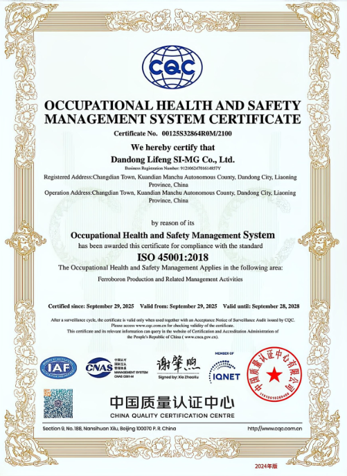 職業(yè)健康安全體系 職業(yè)健康安全體系